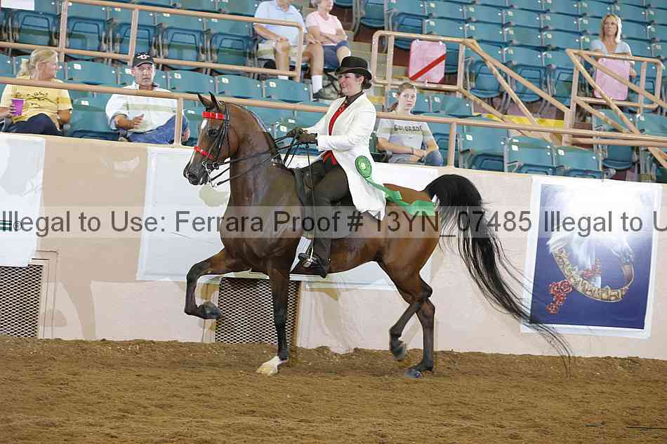 Proof Number 13yn_07485