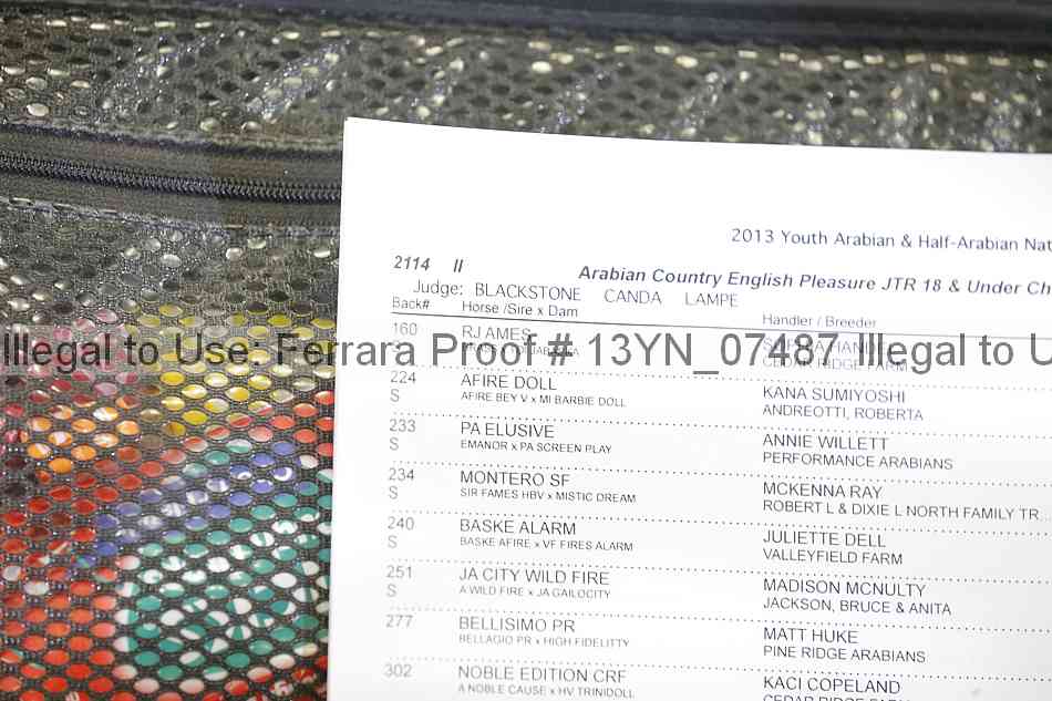 Proof Number 13yn_07487