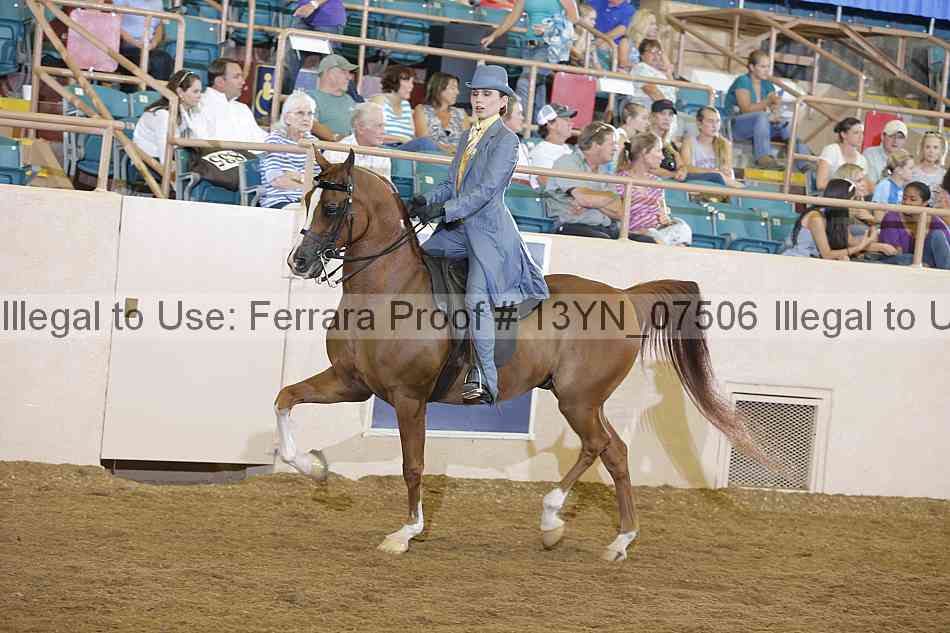 Proof Number 13yn_07506