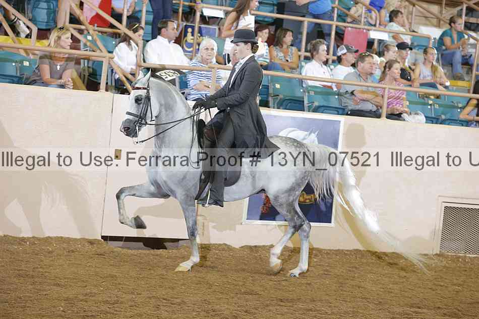 Proof Number 13yn_07521