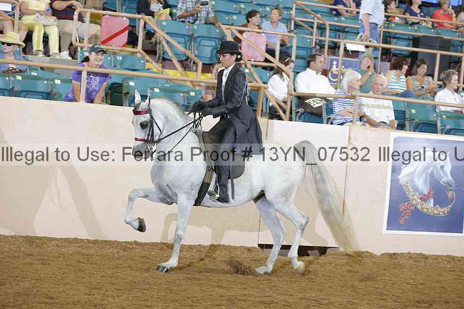 Proof Number 13yn_07532