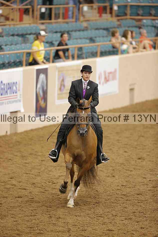 Proof Number 13yn_07540