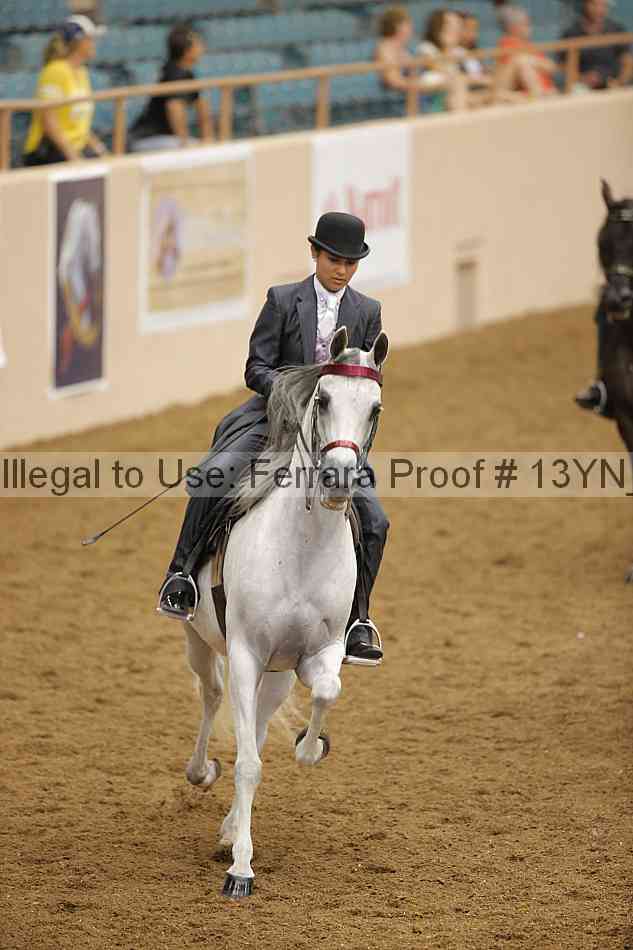 Proof Number 13yn_07543