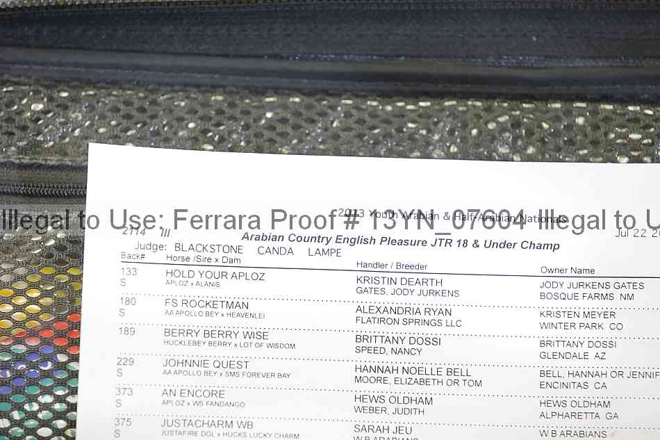 Proof Number 13yn_07604