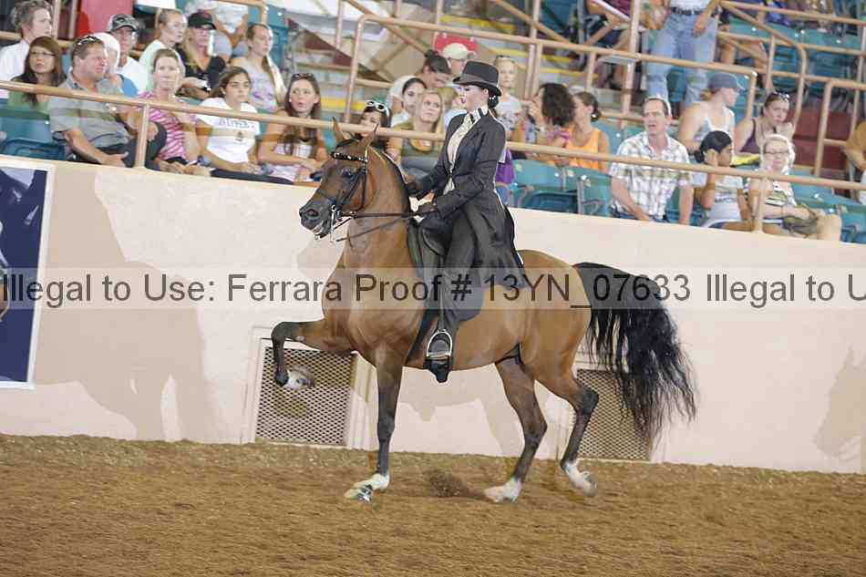 Proof Number 13yn_07633