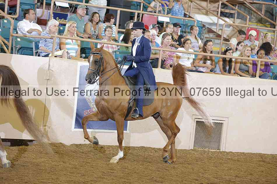 Proof Number 13yn_07659