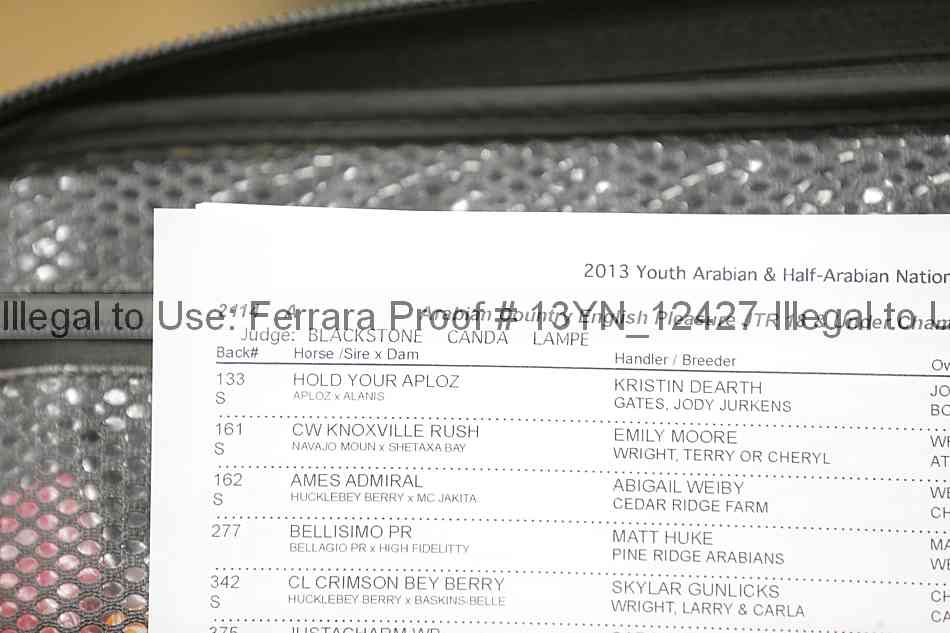 Proof Number 13yn_12427