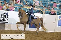 13yn_12475 thumbnail