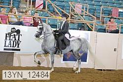 13yn_12484 thumbnail
