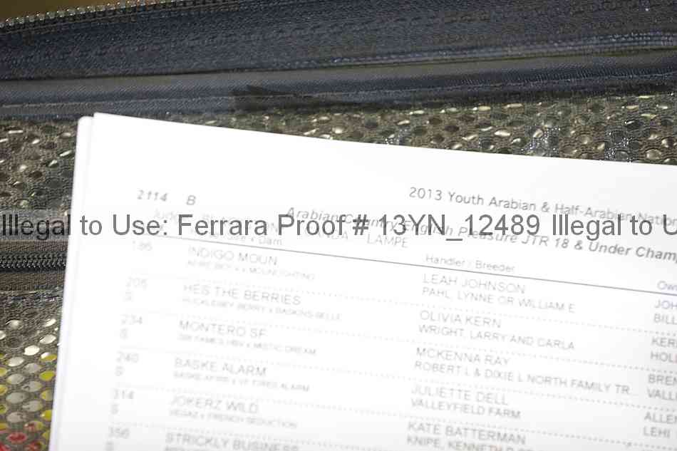 Proof Number 13yn_12489