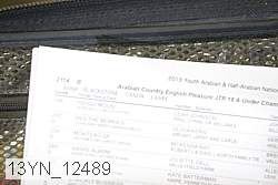 13yn_12489 thumbnail