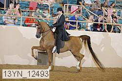13yn_12493 thumbnail
