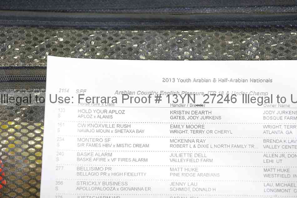Proof Number 13yn_27246