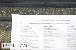13yn_27246 thumbnail