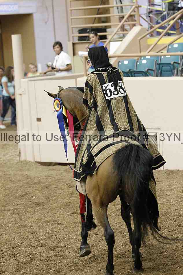 Proof Number 13yn_04895
