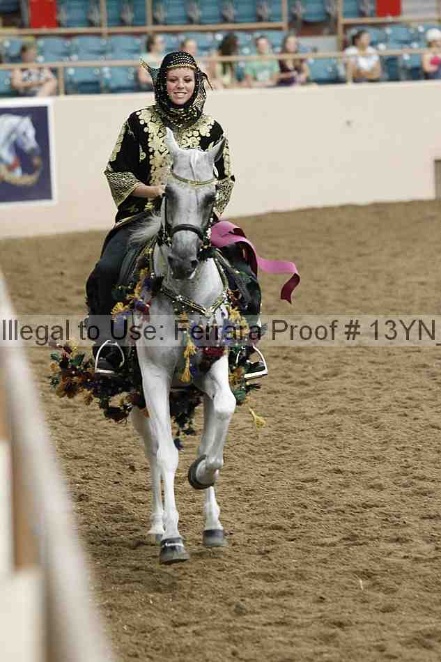 Proof Number 13yn_04903