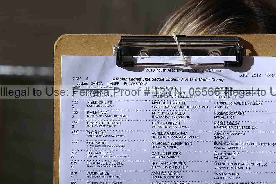 Proof Number 13yn_06566