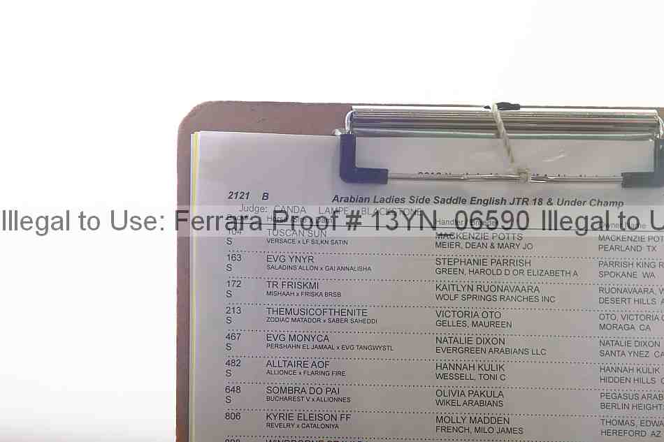 Proof Number 13yn_06590
