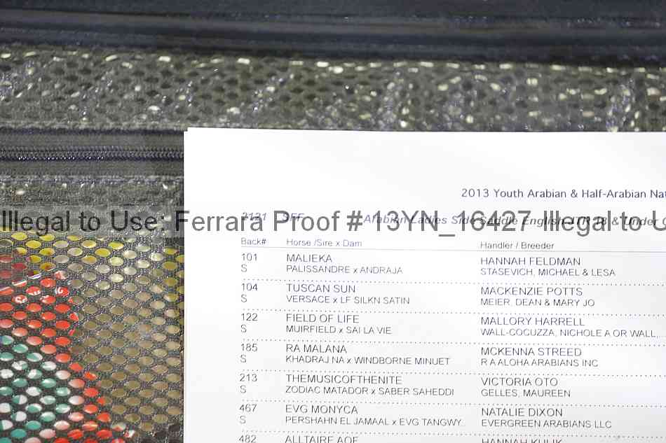 Proof Number 13yn_16427