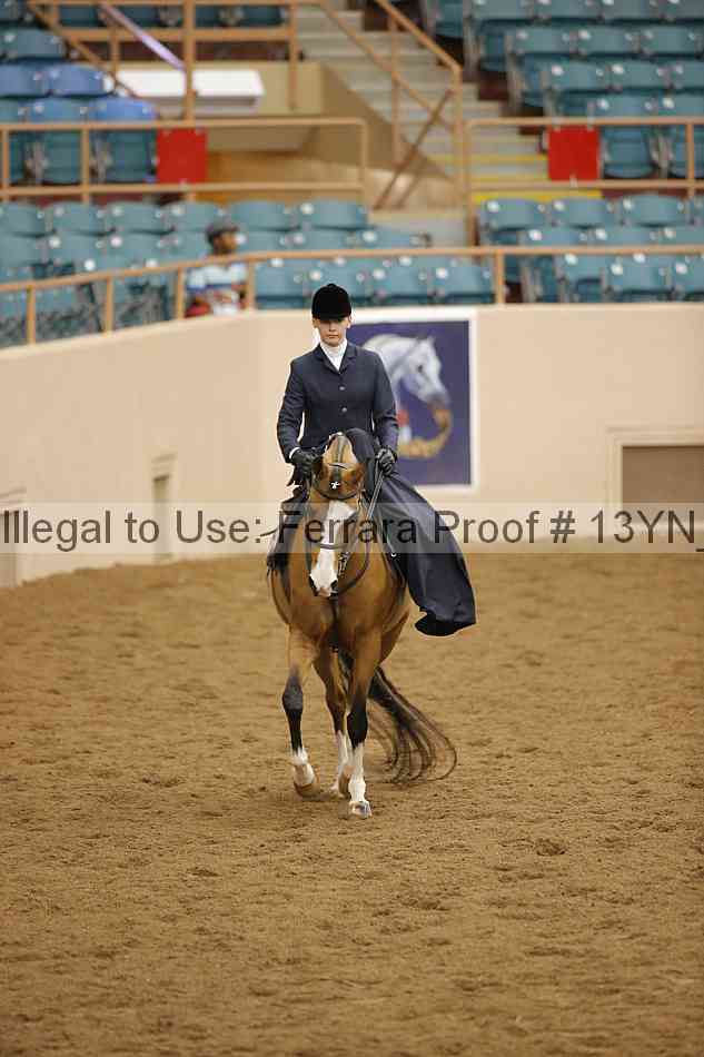 Proof Number 13yn_16434