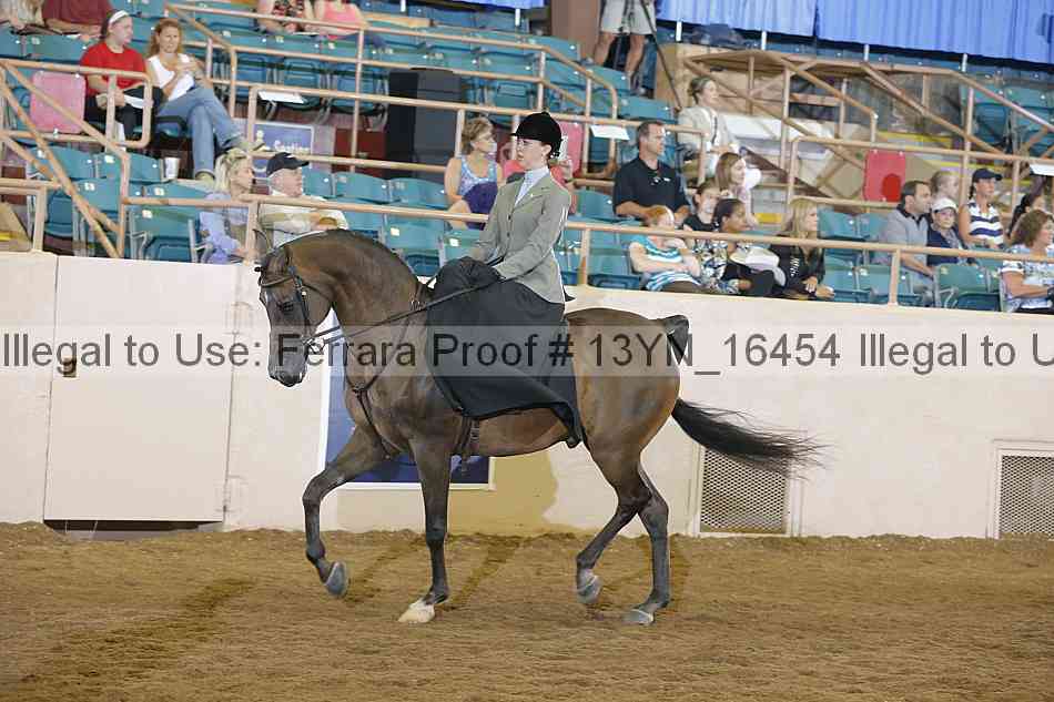 Proof Number 13yn_16454
