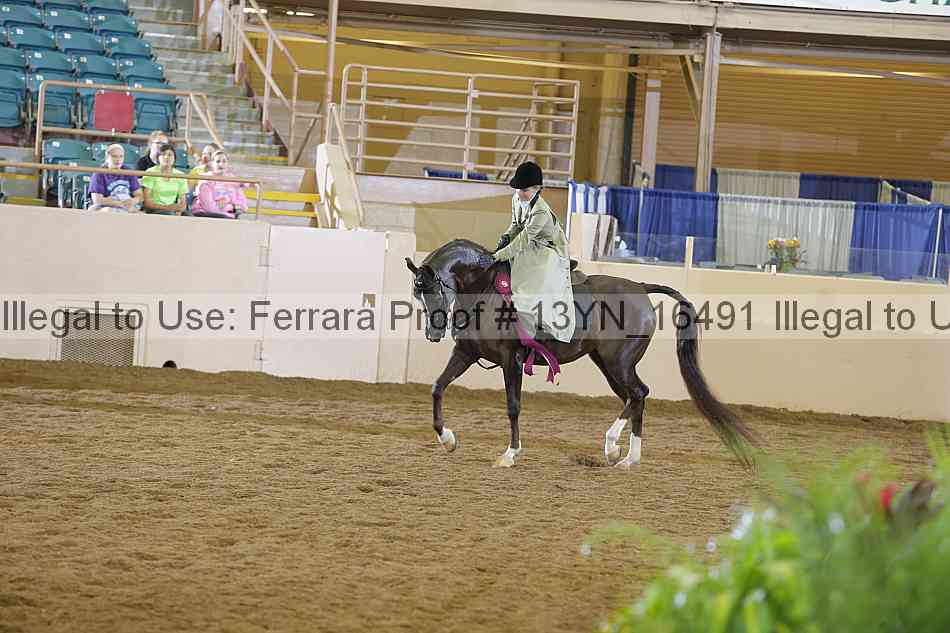 Proof Number 13yn_16491