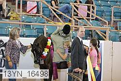 13yn_16498 thumbnail