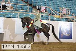 13yn_16562 thumbnail