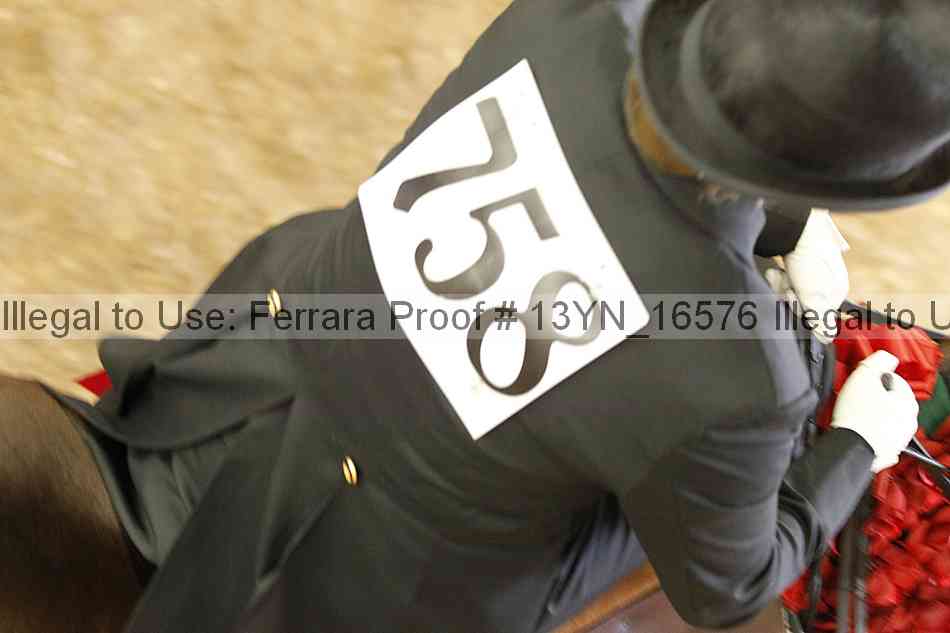 Proof Number 13yn_16576