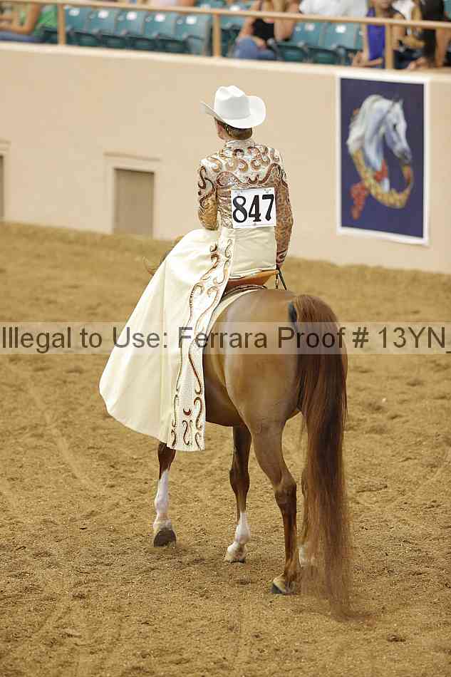 Proof Number 13yn_10517