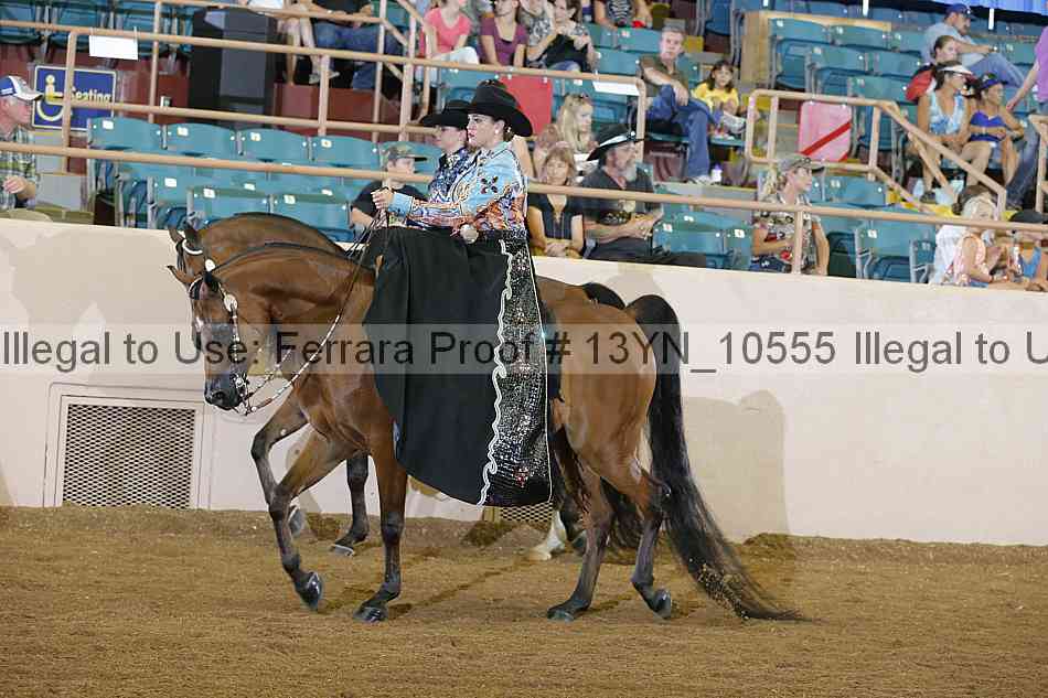 Proof Number 13yn_10555