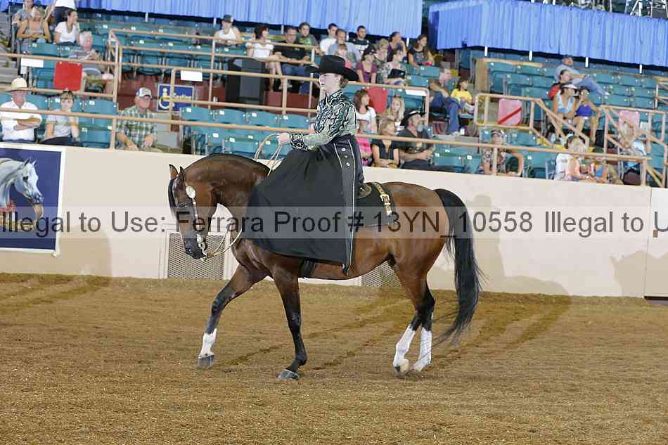 Proof Number 13yn_10558