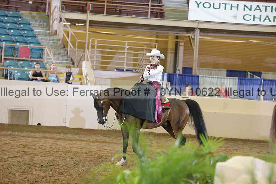 Proof Number 13yn_10622