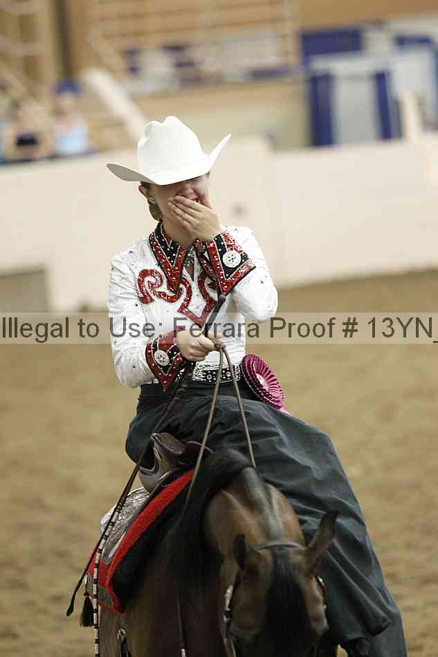 Proof Number 13yn_10631