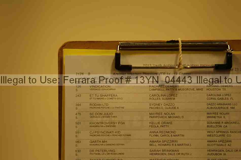 Proof Number 13yn_04443