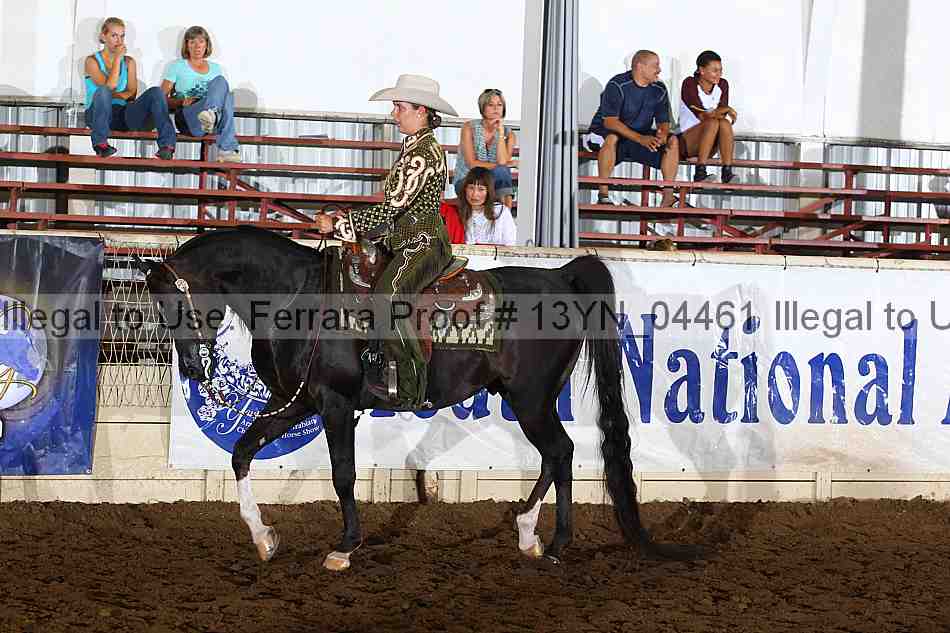 Proof Number 13yn_04461