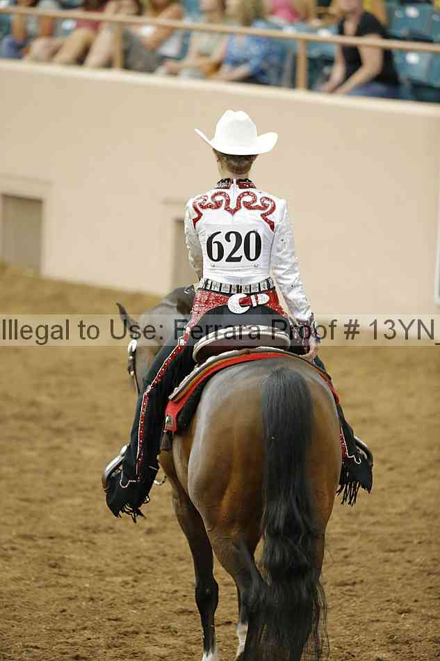 Proof Number 13yn_13511
