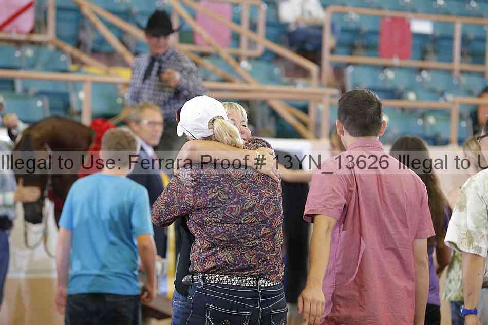 Proof Number 13yn_13626