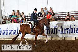 13yn_08512 thumbnail