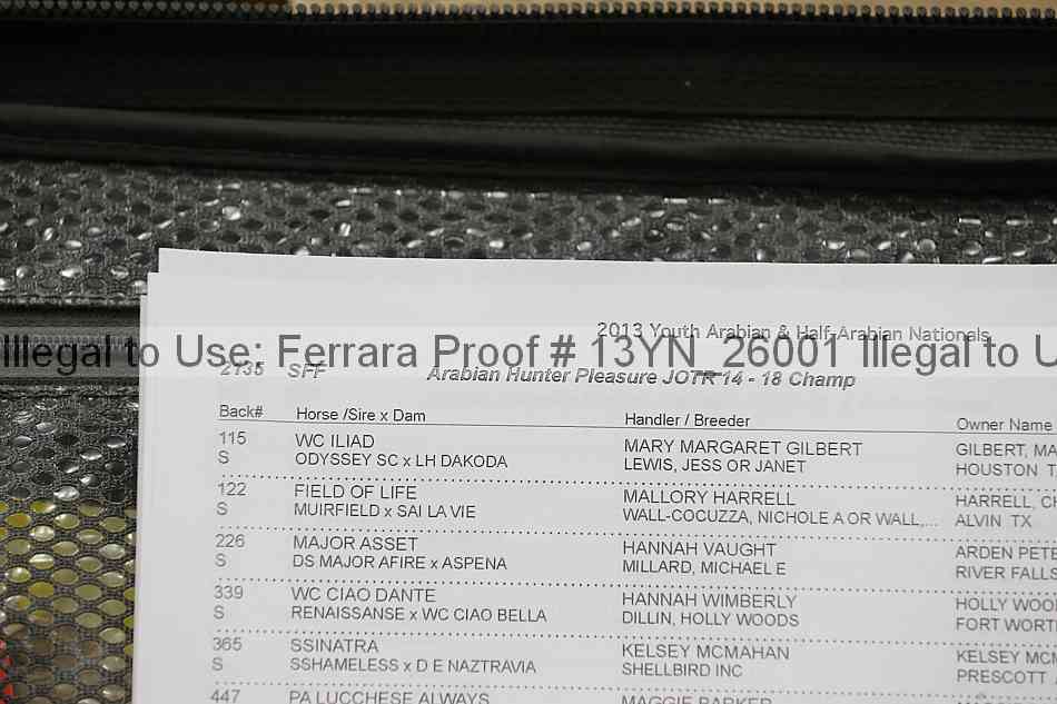 Proof Number 13yn_26001