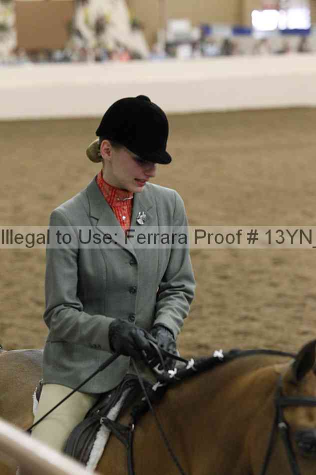 Proof Number 13yn_26090