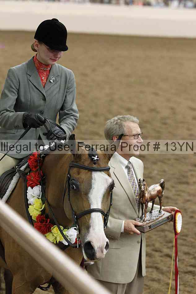 Proof Number 13yn_26094