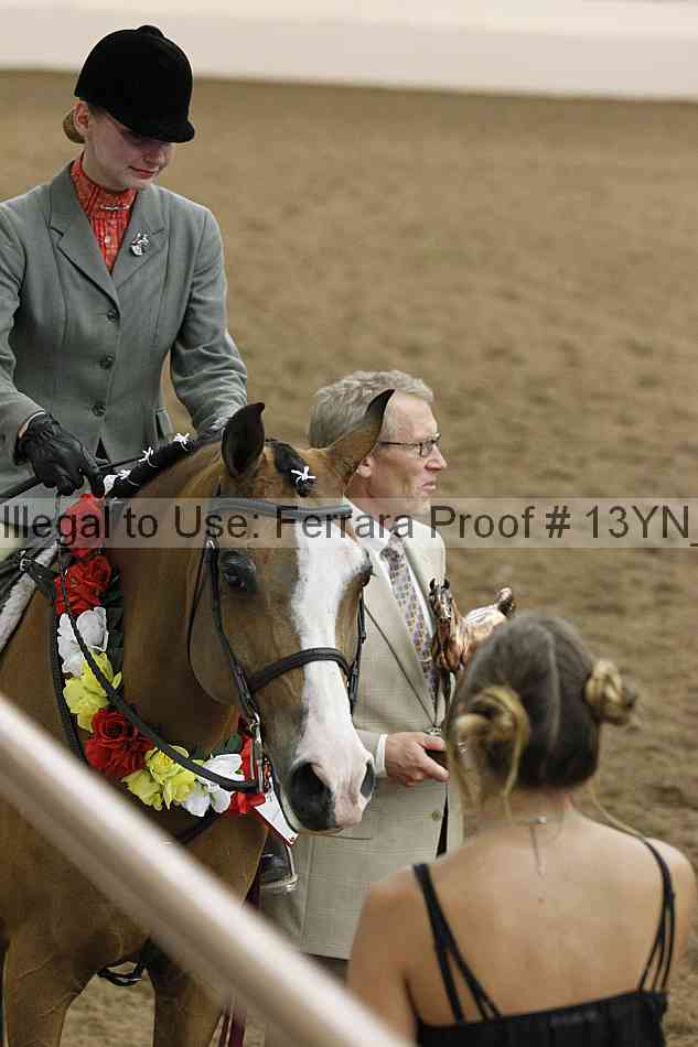 Proof Number 13yn_26095