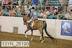 13yn_26190 thumbnail