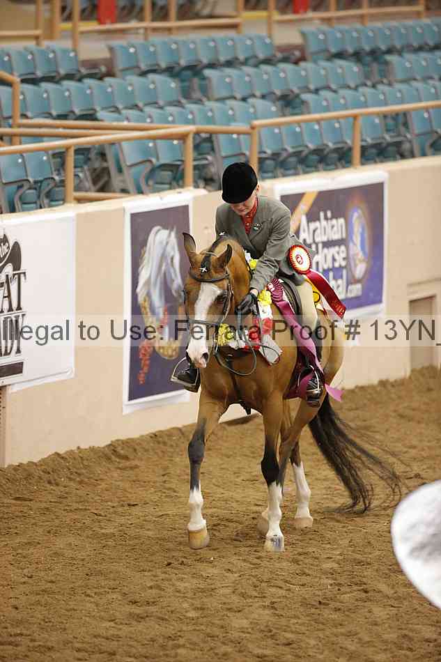 Proof Number 13yn_26197
