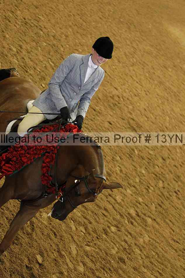 Proof Number 13yn_26212