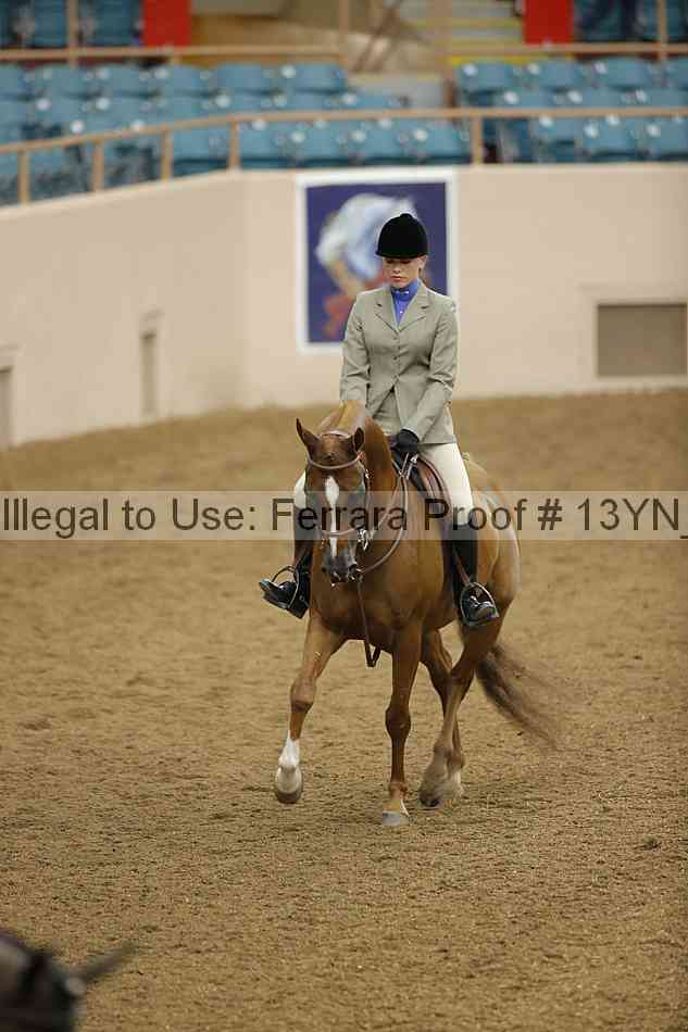 Proof Number 13yn_03511