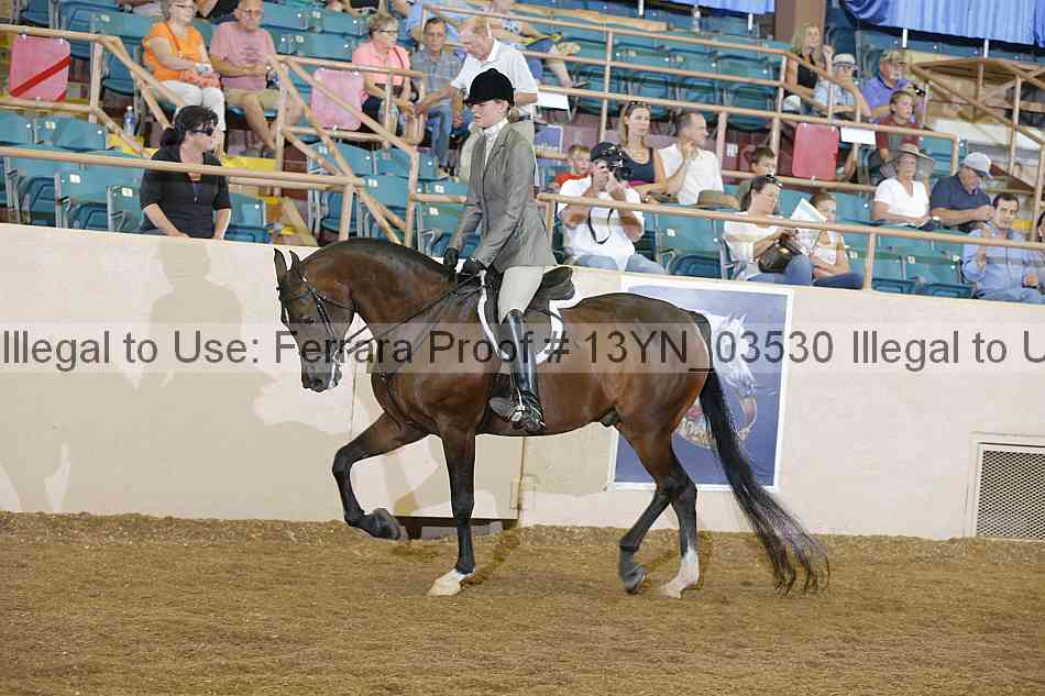 Proof Number 13yn_03530