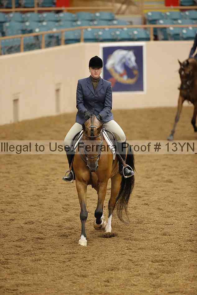 Proof Number 13yn_03634