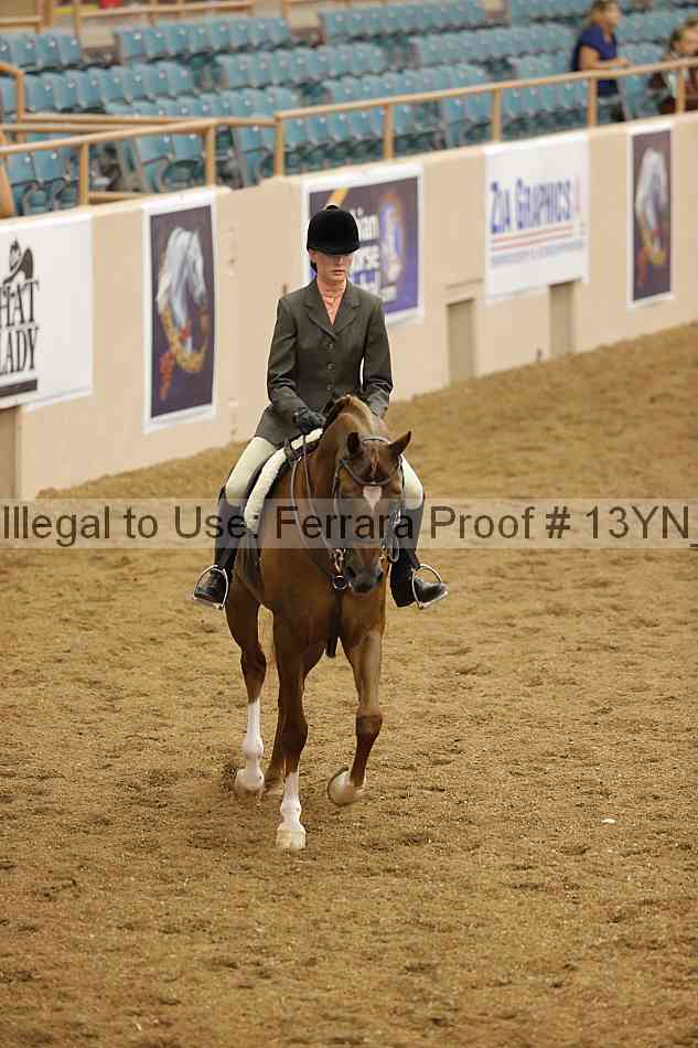 Proof Number 13yn_03643